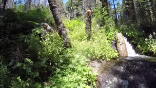 High mountain streams