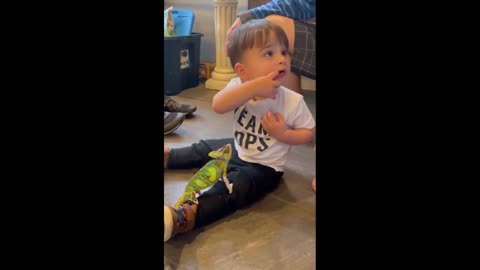 Toddler gets a "kiss" from his pet chameleons