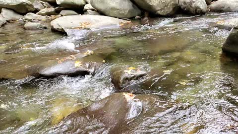 Slow Motion River Scene