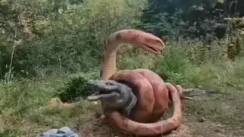 Anaconda VS Crocodile 😱😱😱