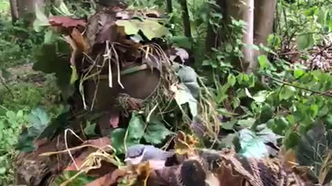 Camo Suit Leads to Unforgettable Nature Experience