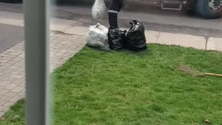 Fooling the Trash Guys