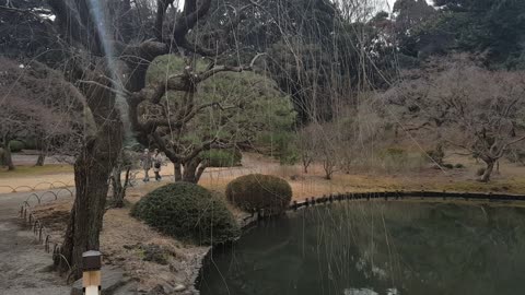 Tokyo Shinjuku 'Kyoen'