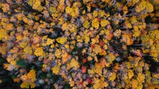 Cape George, Nova Scotia Fall Foliage