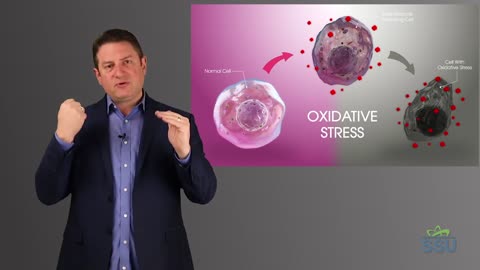 Oxidative Stress Part 1