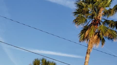 Spotting chemtrails for mom