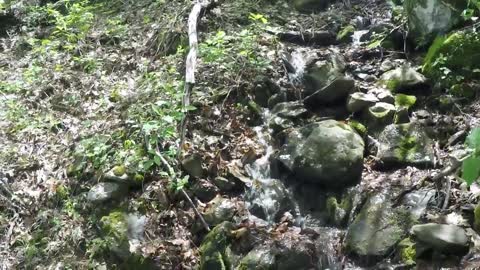 Run-off Waterfall on Appalachian Trail