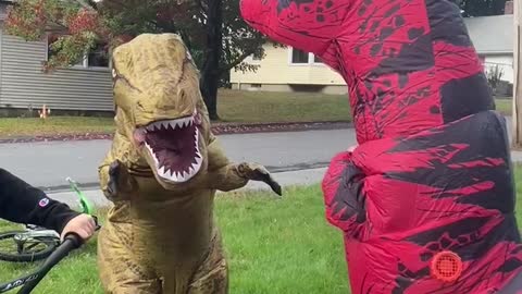 Dino battles