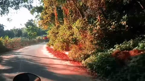 Natural Beauty of garo Hill road