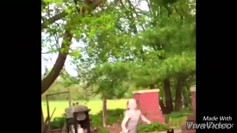 Funny chickens and roosters chase children and adults, compile funny videos 2021
