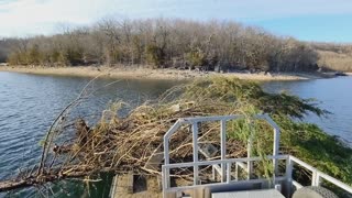 Slinging habitat into Beaver Lake again!