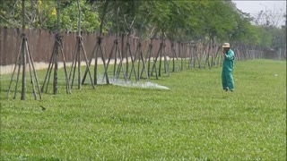 Vietnam, HCMC - watering the grass - 2014-03