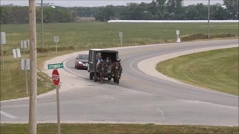 Horse Buggy Carriage Strolling Down The Highway