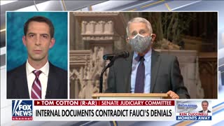Sen. Tom Cotton: "I've said for months that Tony Fauci should be fired."