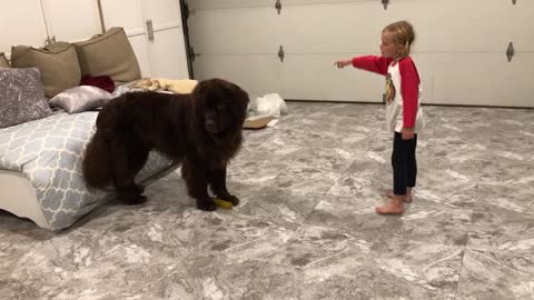 Little girl teaches dog how to play tag