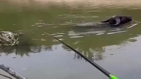 while fishing.... suddenly, out of no where appeared ..... 🧐⠀