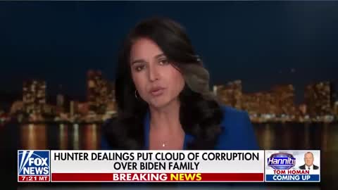 Tulsi Gabbard: This kind of CORRUPTION shouldn't exist within our government
