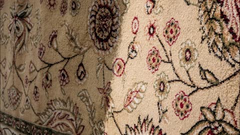 Hunter Carpet Cleaning & Restoration - (253) 361-1738