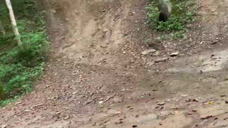 Four-wheeler Hill Climb Goes Backwards and Bad