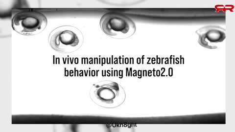Magnetic Nano Particles and Hydrogel To control Mankind.