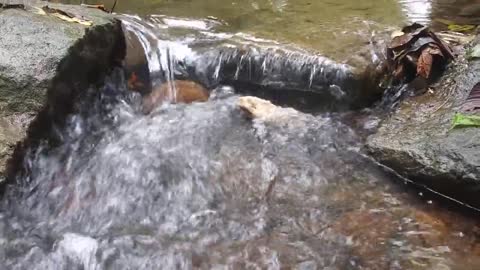 Creek Water Running Trickling Over Rocks Sounds of Autumn in Hidden Forest Creek ASMR Relax Calming