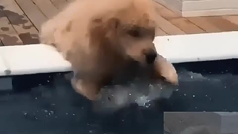 Learning to swim