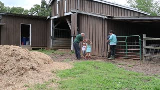 Moving the pigs and cooking whole chicken!