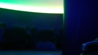 Alien Invasion Kika Silvia Planetarium