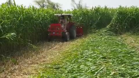 Modern ways of cultivation has been introduced in villages