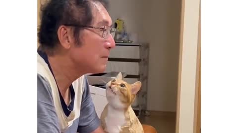 cat want to love