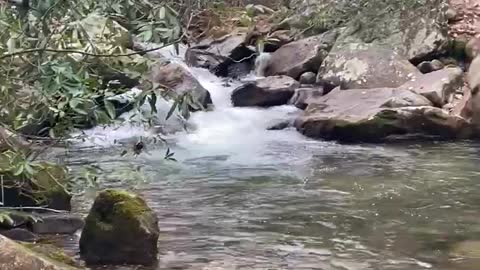 Jones Gap State Park