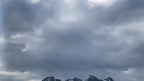 White-bellied sea eagle catching an easy herring meal | wildlife animals