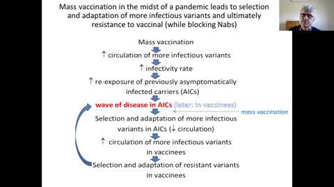 Dr. Geert Vanden Bossche, 2021年4月19日「自然免疫は急性ウイルス感染症に対する集団免疫の基礎である。」