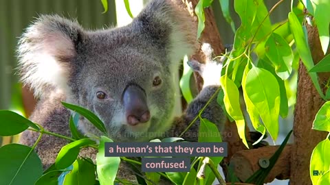 10 Unbelievable Animal Facts That Will Leave You Speechless! Part 9