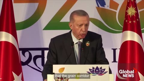 Turkey's Erdogan says grain deal without Russia would not be "sustainable"