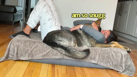 Funny Human Stealing Dogs Bed..