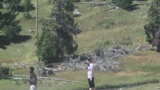 Lady Yells At Yellowstone Tourists for Walking on Prohibited Thermal Grounds