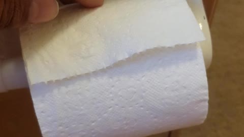 how toilet paper has to be