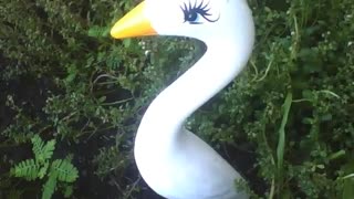 Beautiful statue of a white swan in the flower shop, very gorgeous! [Nature & Animals]