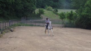 cowboy dressage