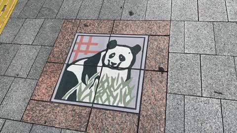 The most beautiful manholes in the world - Japan's sewer covers