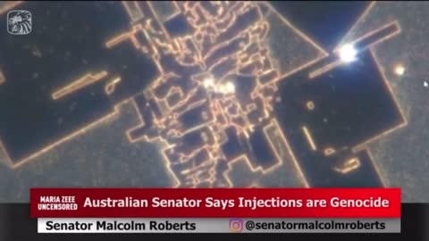 Vaccines are genocide , senator Malcolm Roberts speaking with MariaZeee