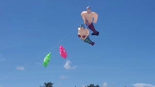 Kites over Delray