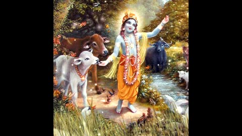 Hare Krishna Vaiyasaki das