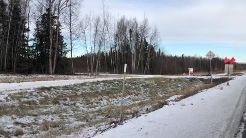 Boy Learns the Art of Mushing