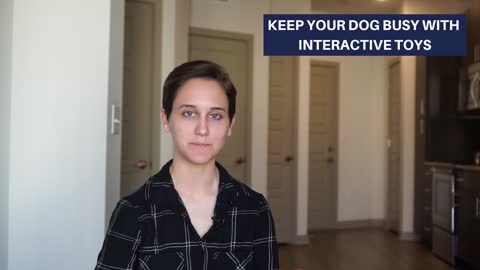 Successful Ways To Have Dogs In Your Apartment 🐕 Quick Tips