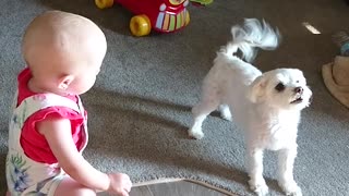 Cute Puppy and Adorable Baby Have Amazing Conversation Speaking The Same Language