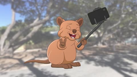 A Quokka Selfie