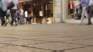 Kitty footsteps on street low camera angle