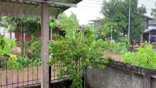 Thailand Rain Storm